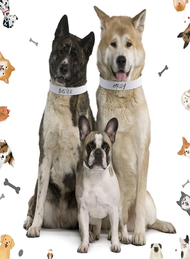 Clysee 500 Count 20inch Adjustable Paper Dog Collars with Tear Resistant Waterproof Whelping Collars Paper Puppy ID Bands Adhesive Pet Identification Tags for Newborn Dog Cat Hospitals(White) - Image 5